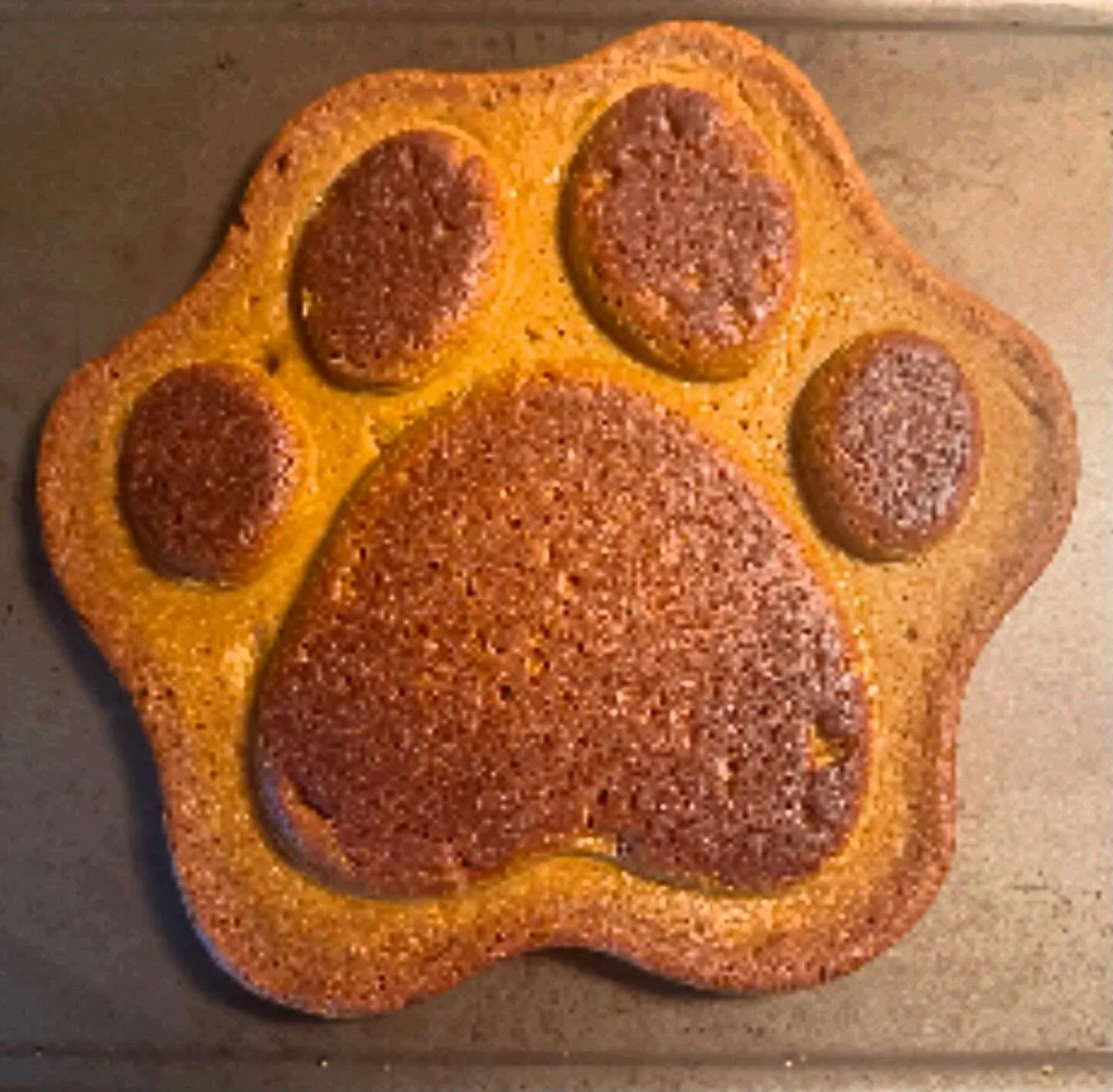 🔊🔊🔊What a cake! 🎂 We are pleased to announce that we now serve birthday cakes! 🎂 🥳🎉🎊 Be sure to place an order for your fur baby! 🐶 **This is a picture of Simon&rsquo;s cake from 7/18/24. I didn&rsquo;t use icing because some of the dogs we 