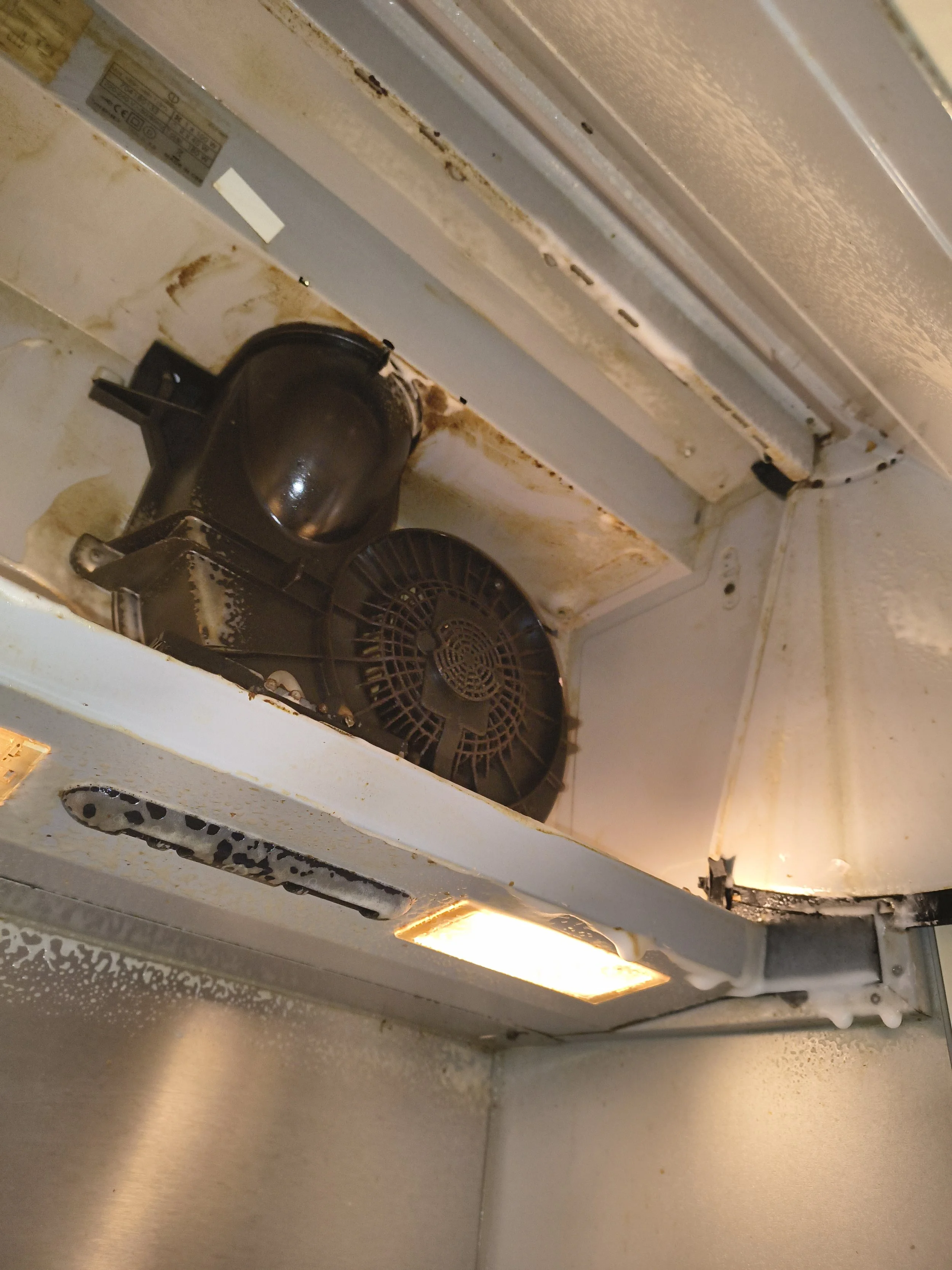 Inside a microwave oven with exposed heating element and rust, showing significant grime and deterioration.