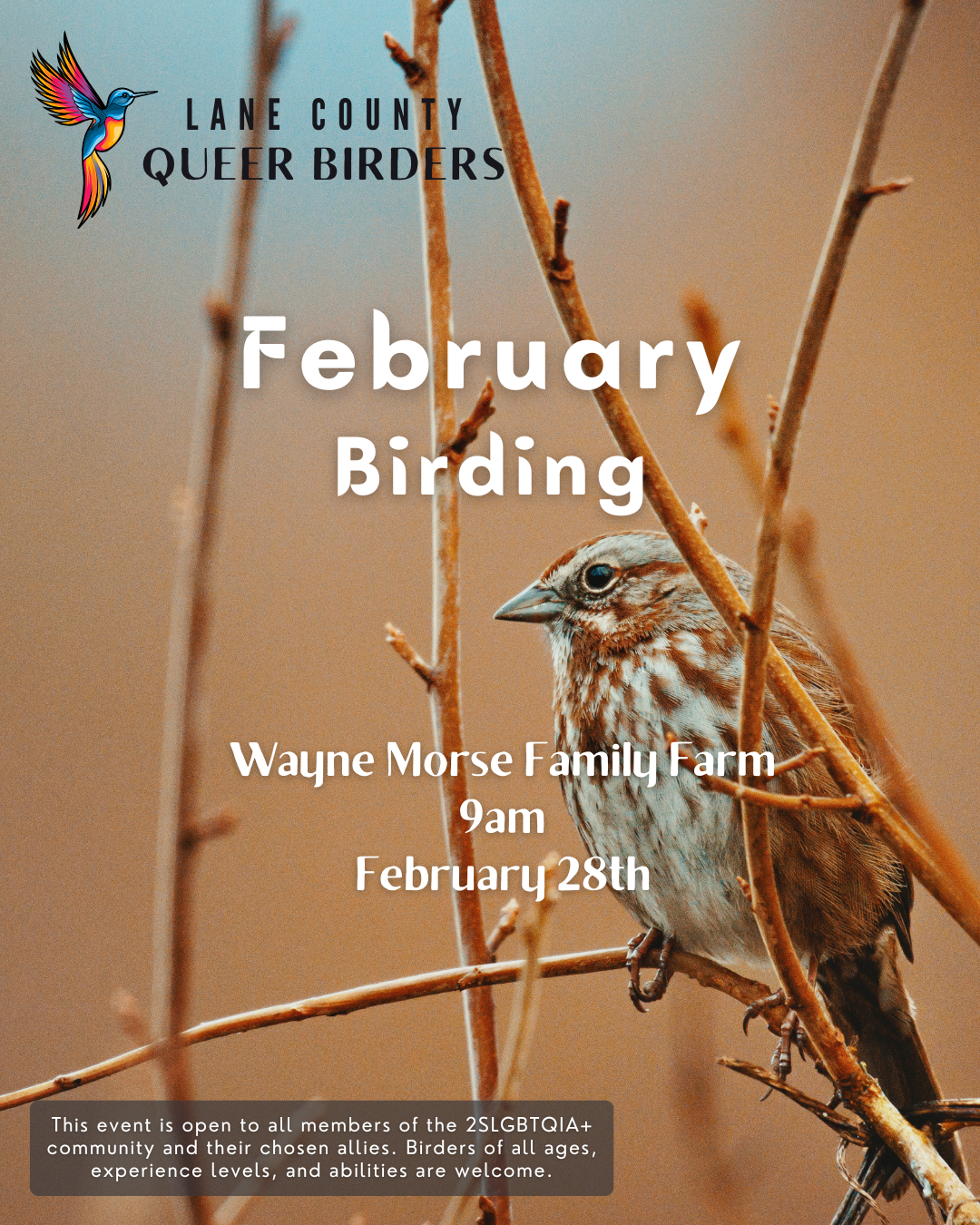Flyer for Lane County Queer Birders February Birding event featuring a photograph of a sparrow perched on dry twigs, with event details and a colorful hummingbird logo.