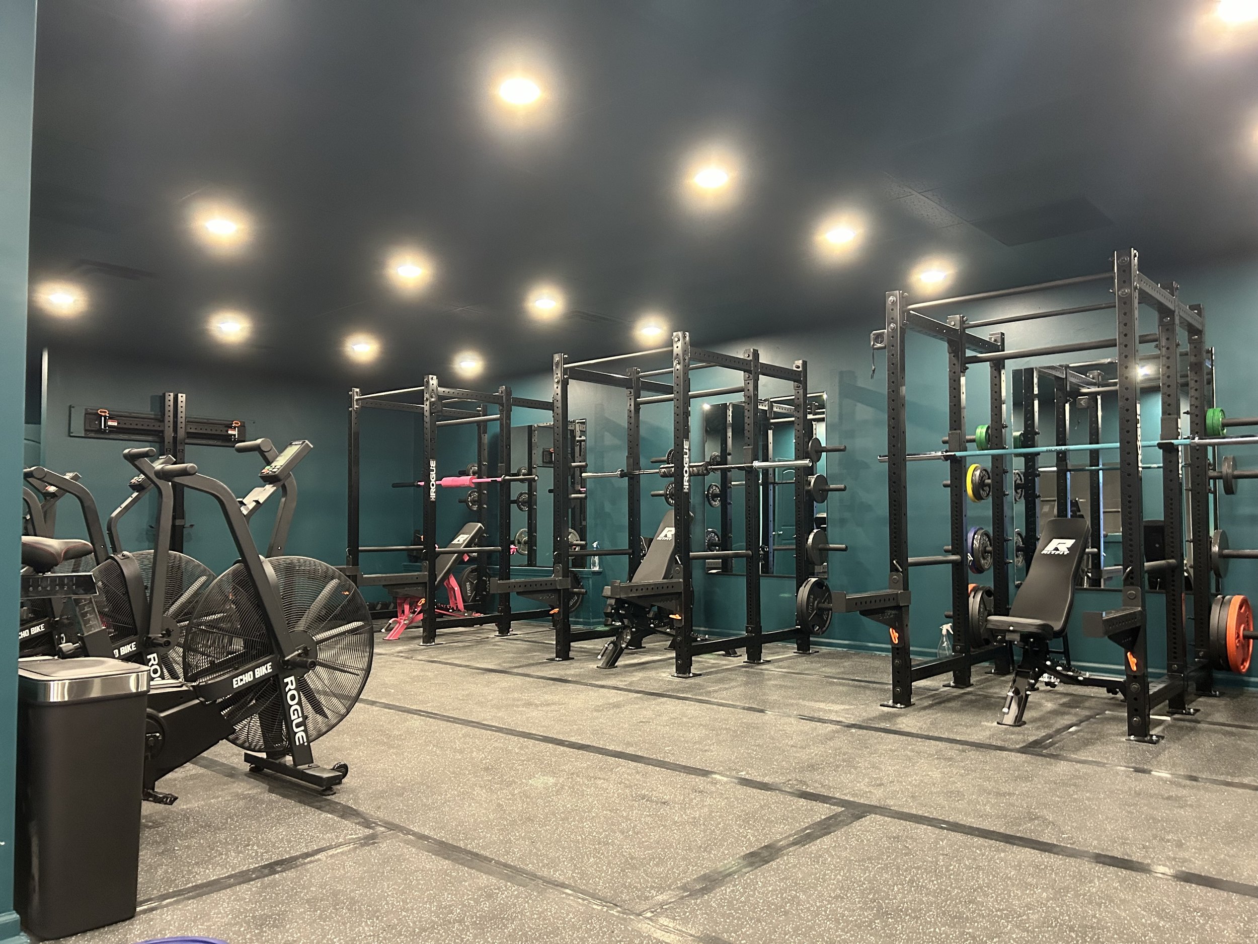 Refined Fitness racks