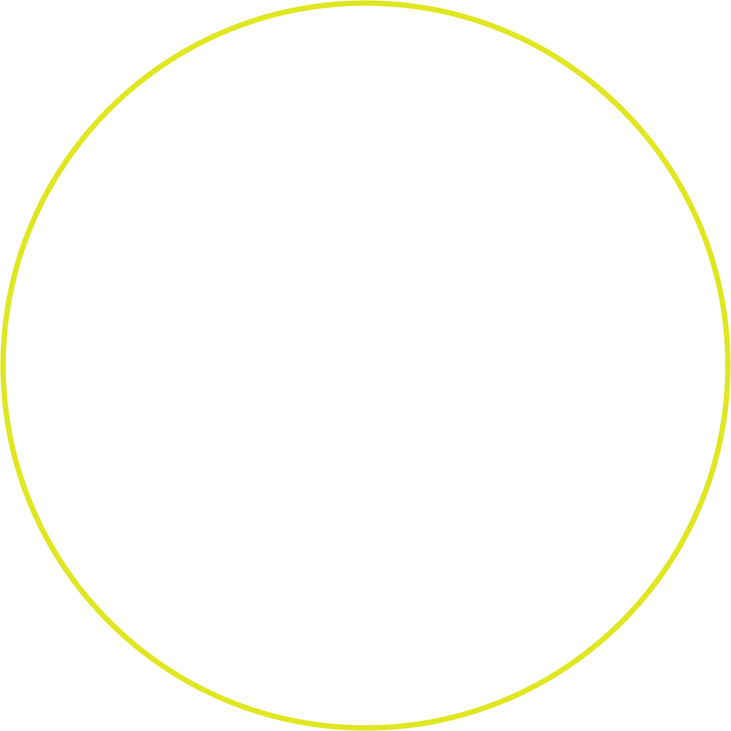 Amplified Marketing (Copy)