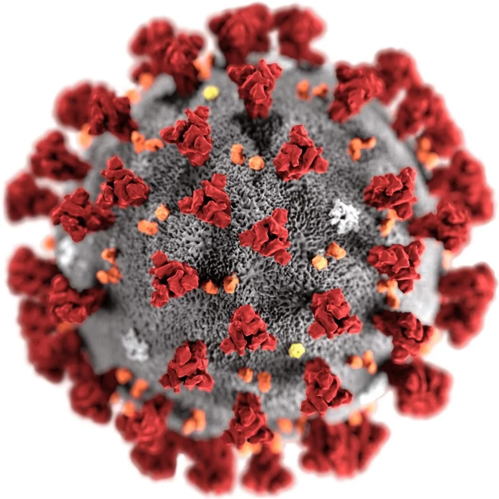 Corona virus