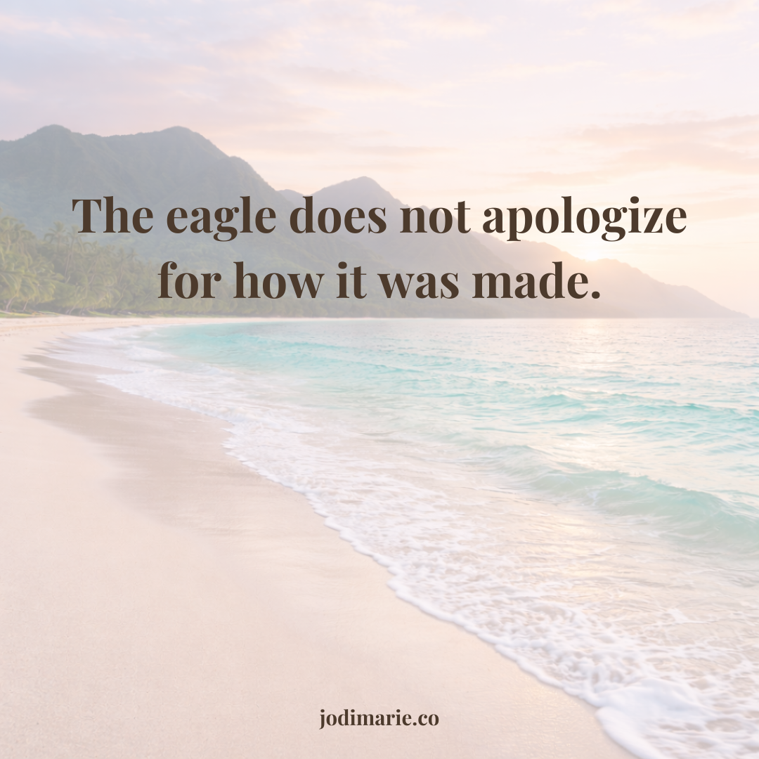 You Were Made To Soar