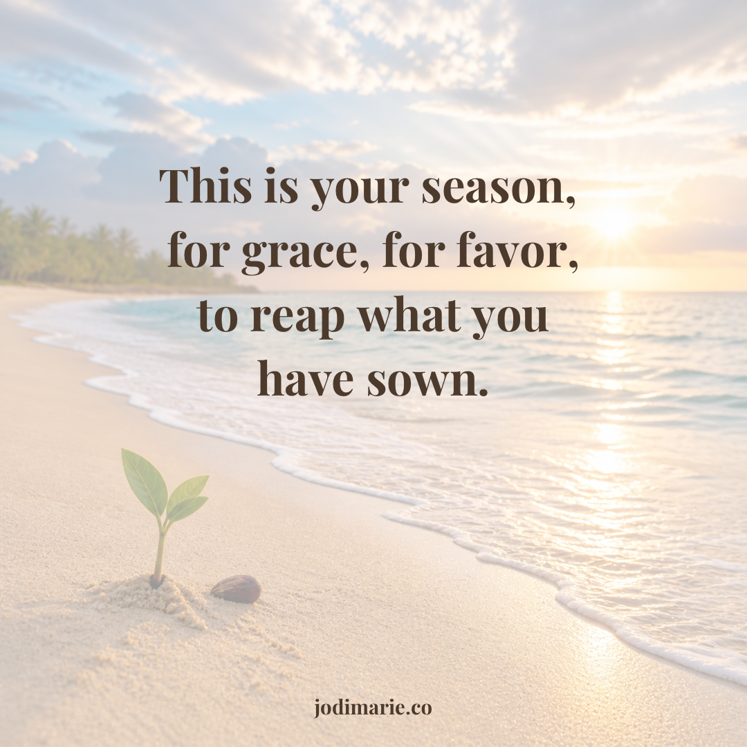 From a SEED to a SEASON