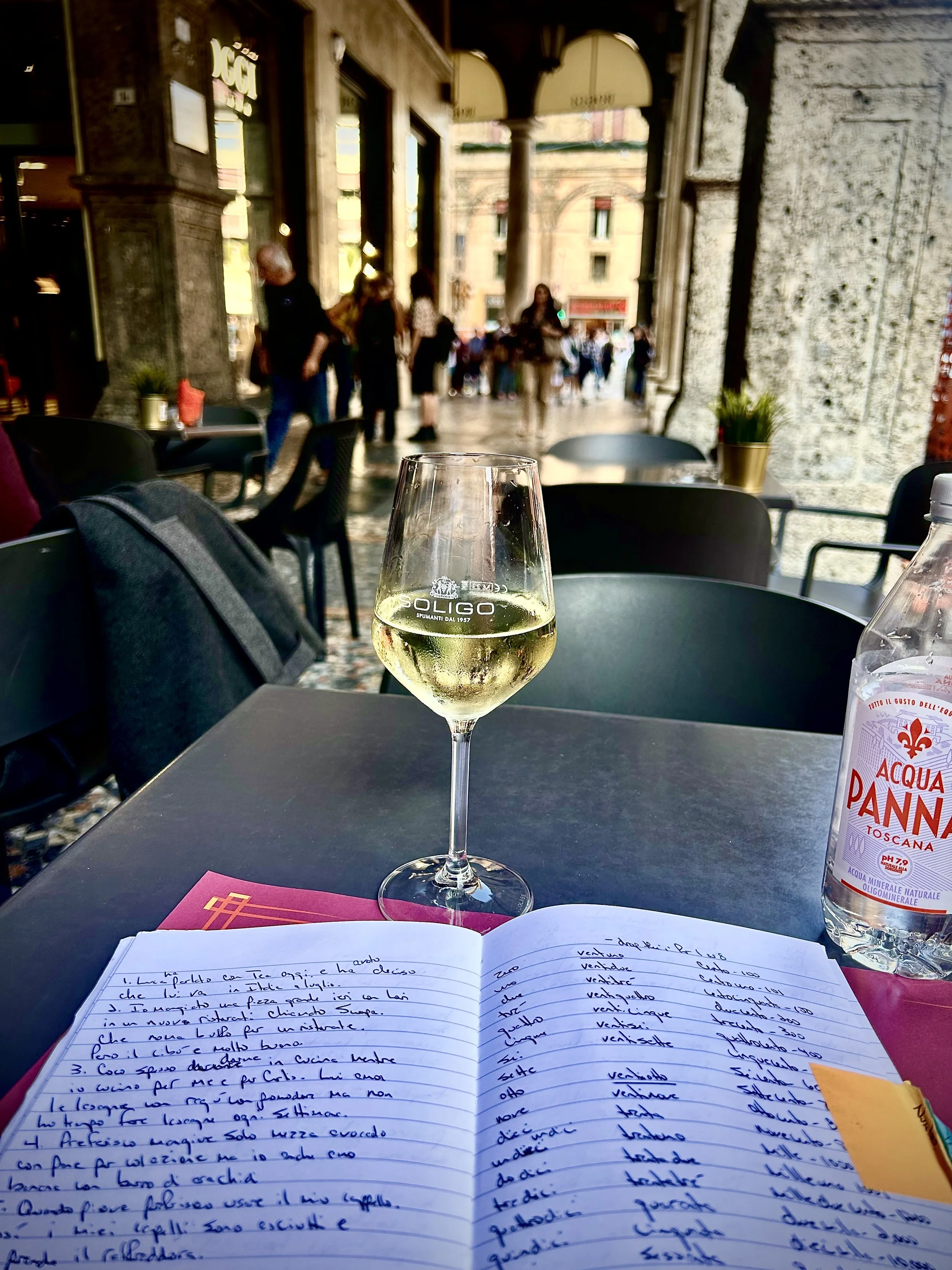 Set of notes written in Italian, a glass of white wine, a bottle of acqua Panna mineral water on a table at an outdoor café in Bologna.