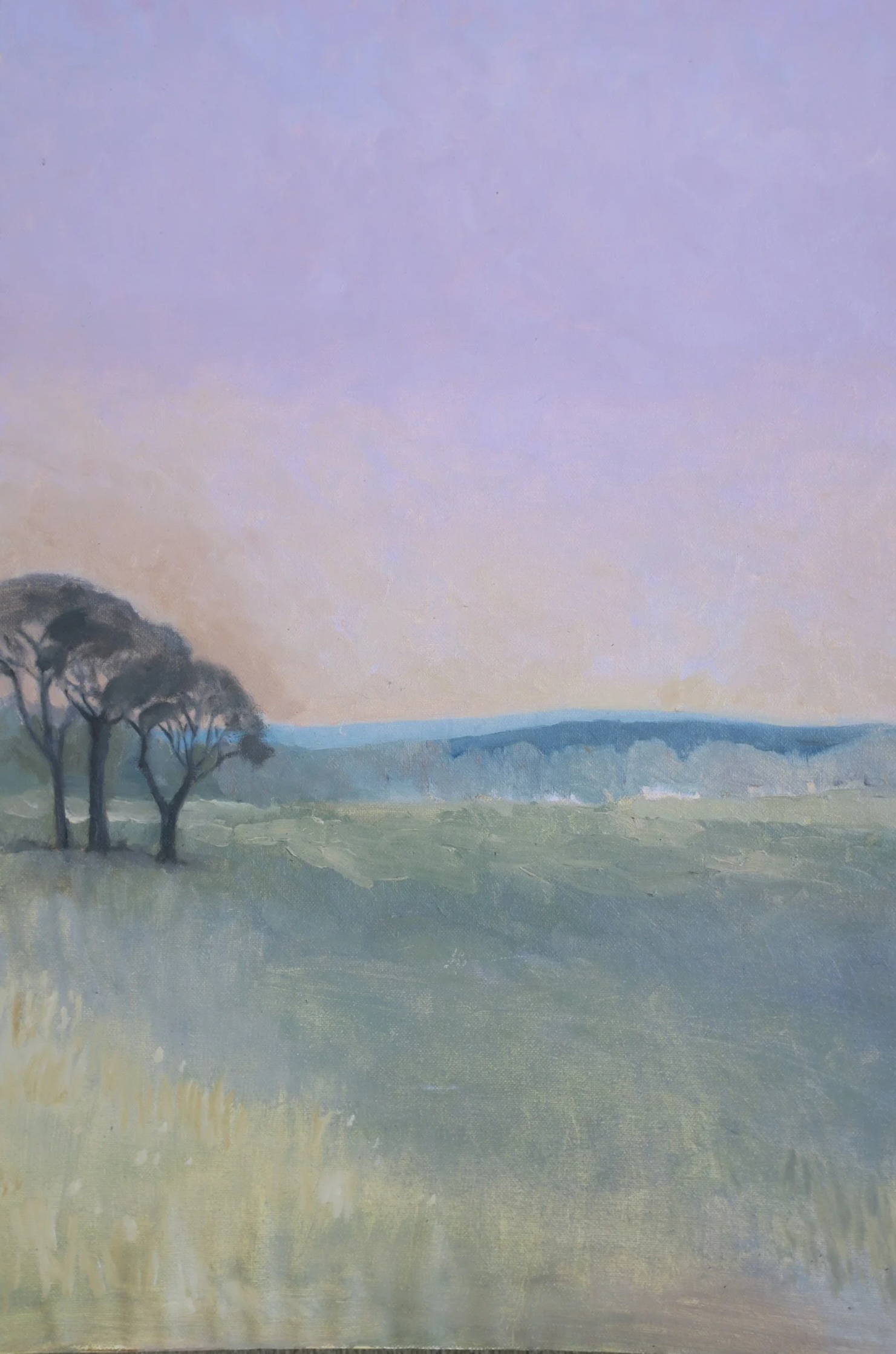 A Summer’s Evening