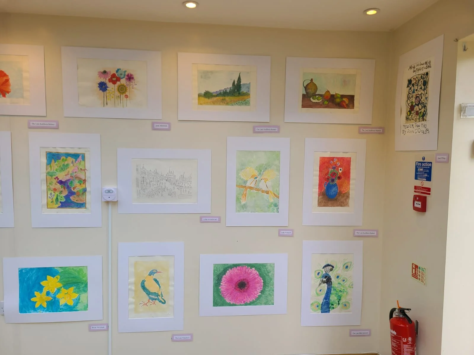 WhatsApp Image 2026-01-02 at 12.15.22 (1).jpeg