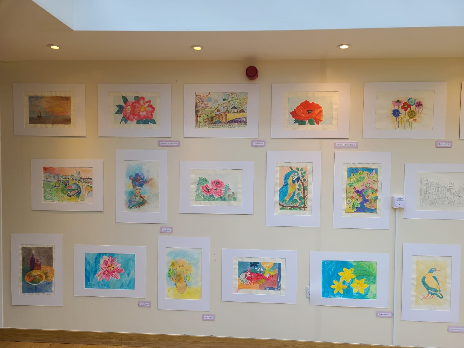 WhatsApp Image 2026-01-02 at 12.15.22.jpeg