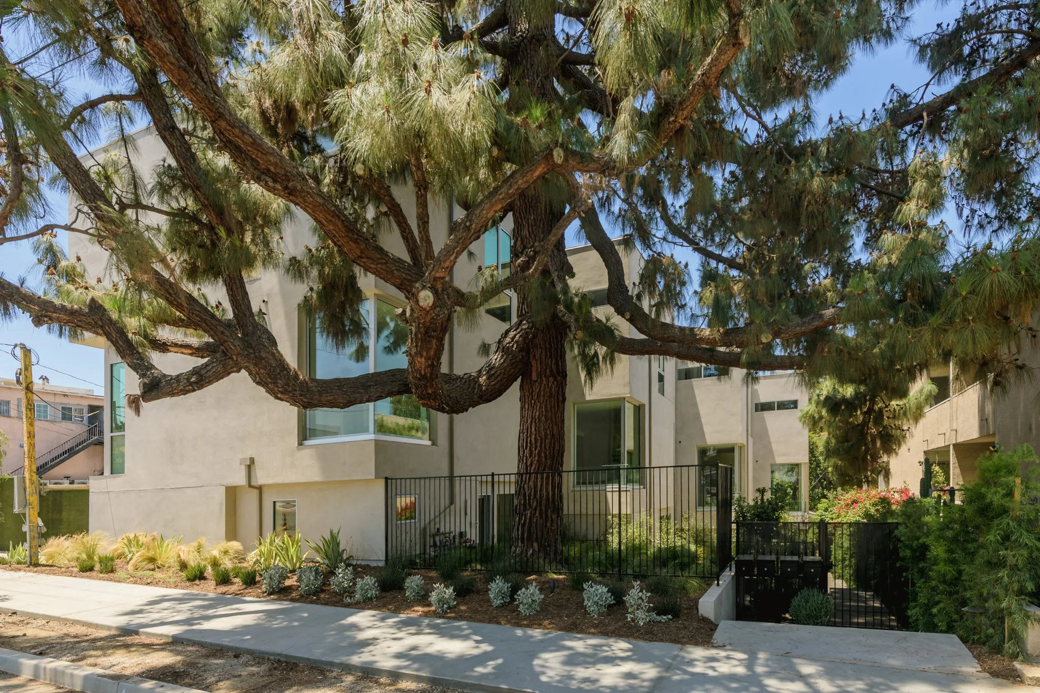 Street-front exterior of contemporary new construction townhomes surrounded by mature landscaping, built by JBurton General Contractor in Silver Lake, Los Angeles.
