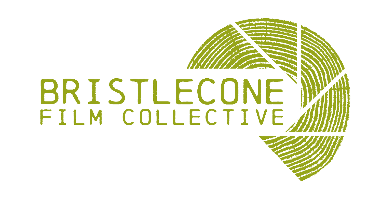Bristlecone Film Collective