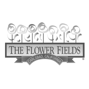 THEFLOWERFIELDS-300x300.png