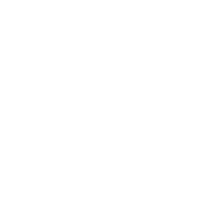 SVN-Vanguard-300x300.png