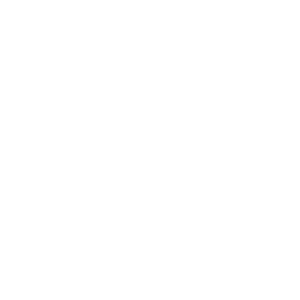VGC-300x300.png