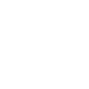 LAYRITE DELUXE-300x300.png