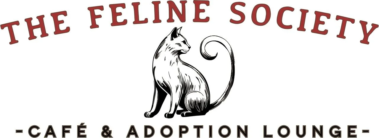The Feline Society &mdash; Café &amp; Adoption Lounge
