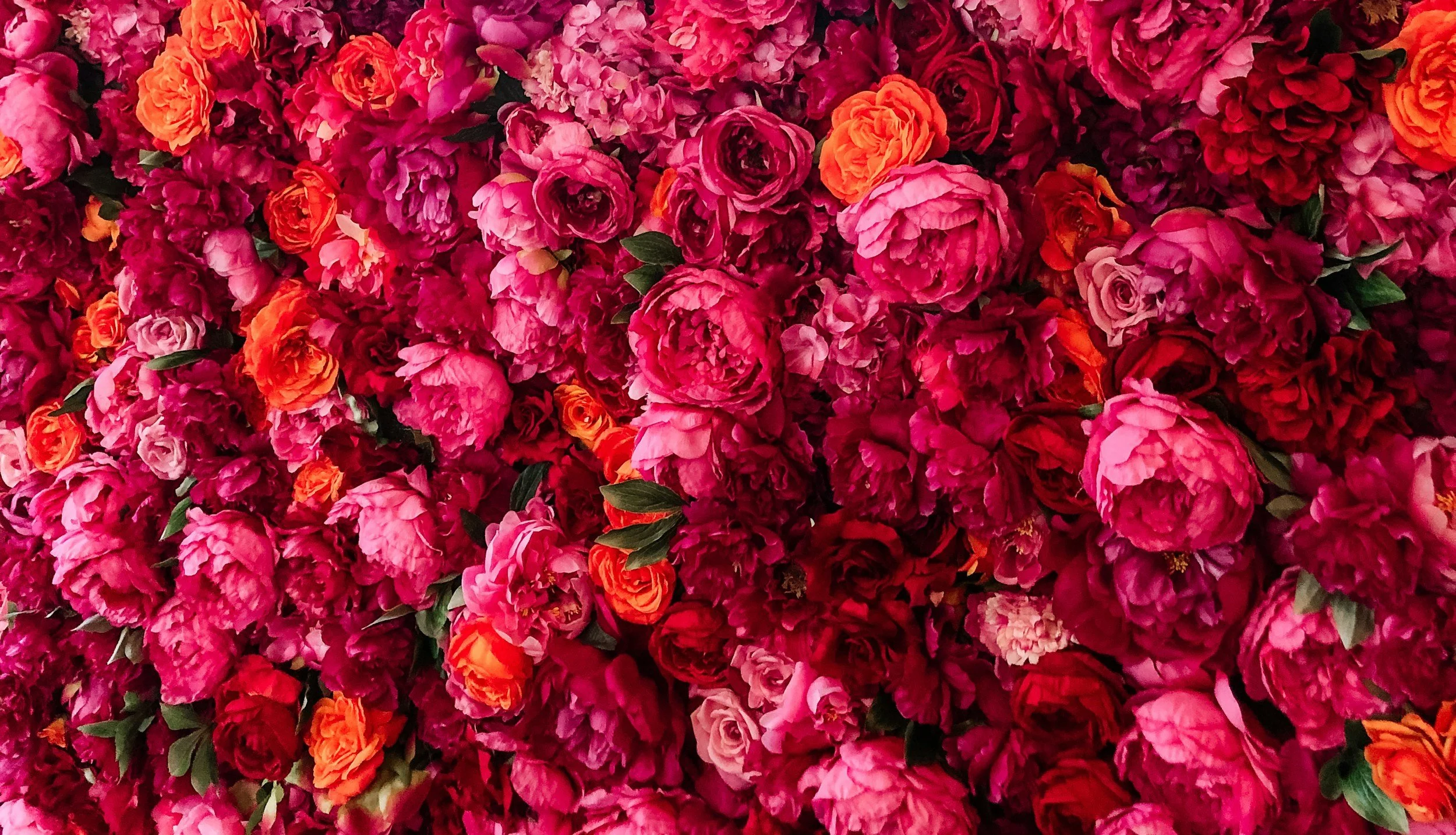 Dense floral wall of peonies, roses, and layered blooms in vivid shades of pink, crimson, magenta, and coral, creating a lush tapestry of sensuality, abundance, and radiant color.
