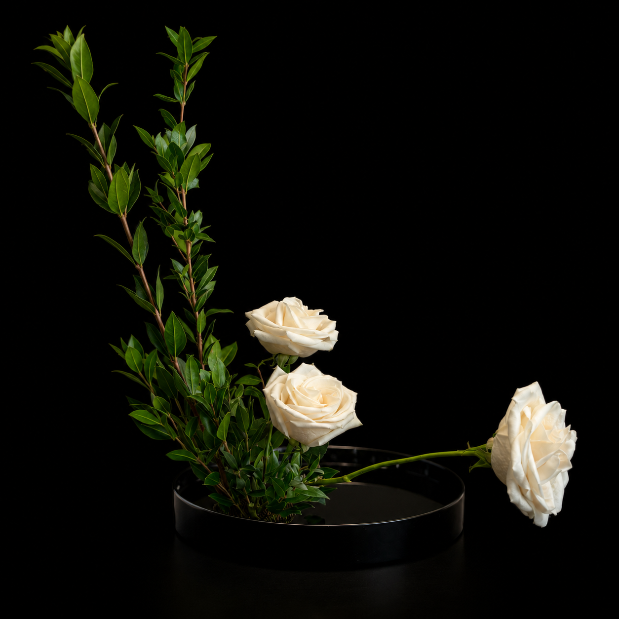 88A68638-6E6E-43C5-BD9E-9F2DF357F7D0.PNG