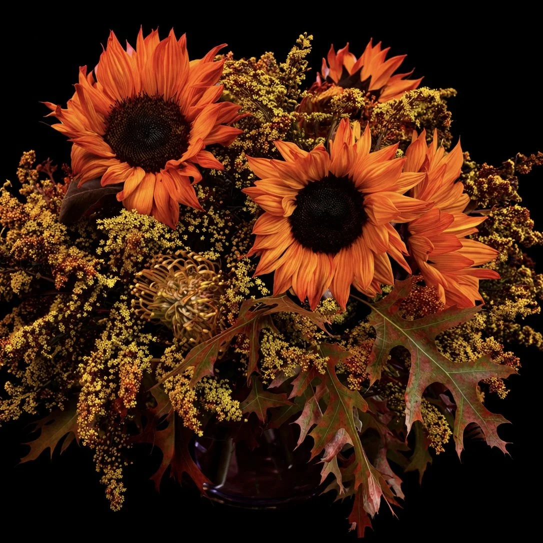 Bold autumn floral arrangement with fiery orange sunflowers, golden wildflowers, and oak leaves layered against a black background, radiating warmth, abundance, and seasonal transformation.