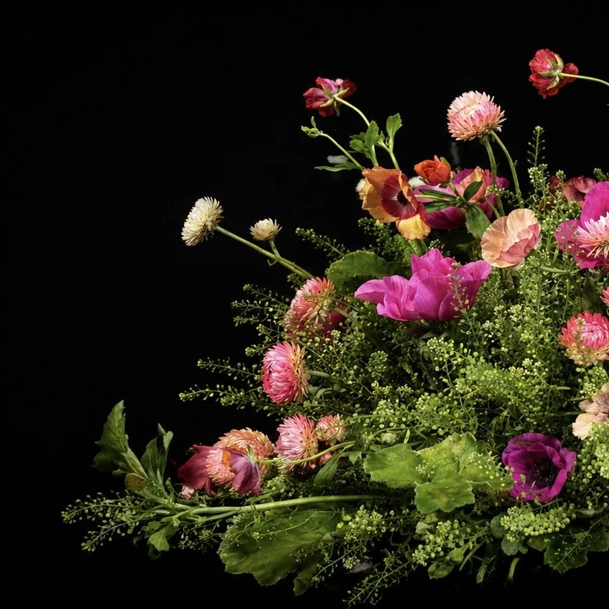 Asymmetrical floral arrangement on a black background with vivid pink, coral, peach, and magenta blooms emerging through airy green foliage, evoking wild beauty, movement, and abundance.