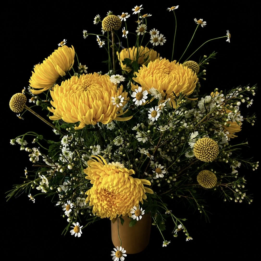 Radiant floral arrangement of golden chrysanthemums, chamomile daisies, and textured yellow blooms rising from airy greenery against a black background with warmth and joyful energy.