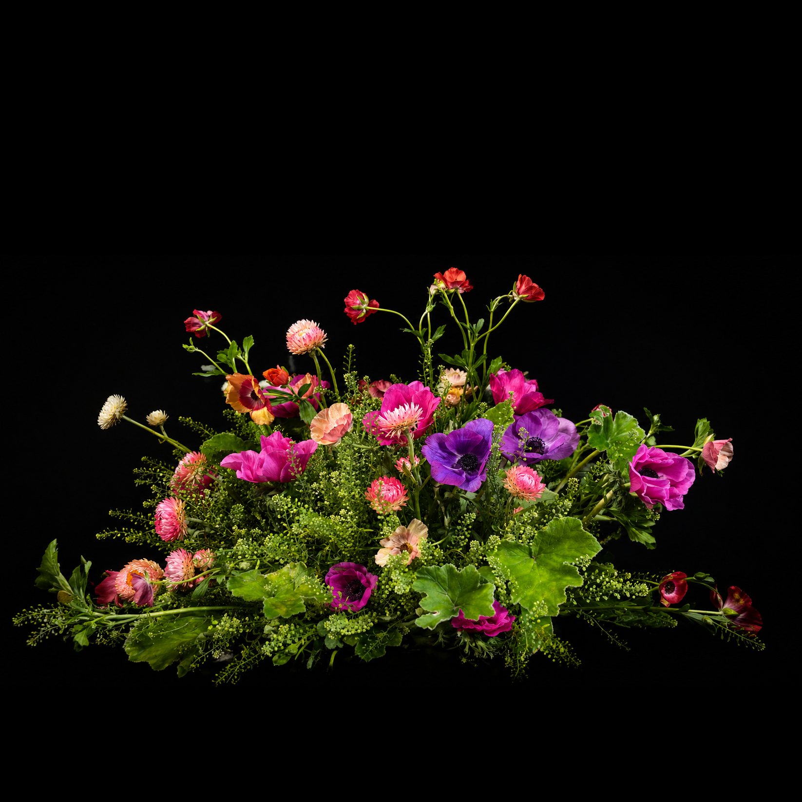 8CE7D235-80FE-4647-8734-9D9346E194F0.PNG