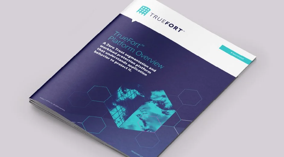Brochure titled 'TrueFort Platform Overview' with blue and white design, featuring a hexagon pattern and an abstract image of a person working on a computer.