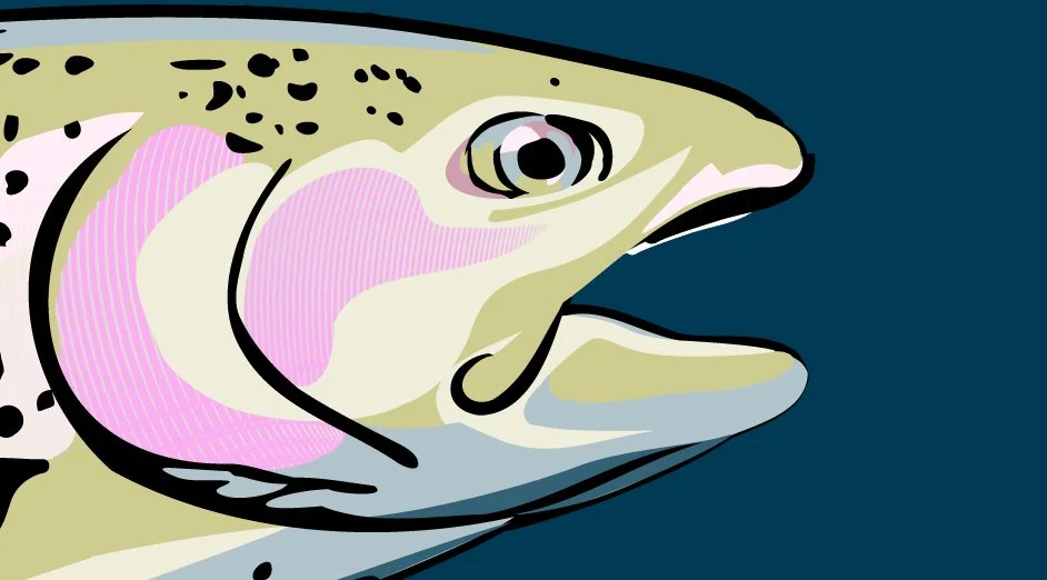 A close-up digital illustration of a fish's head, showing details of its eye, mouth, and coloration with a dark background.