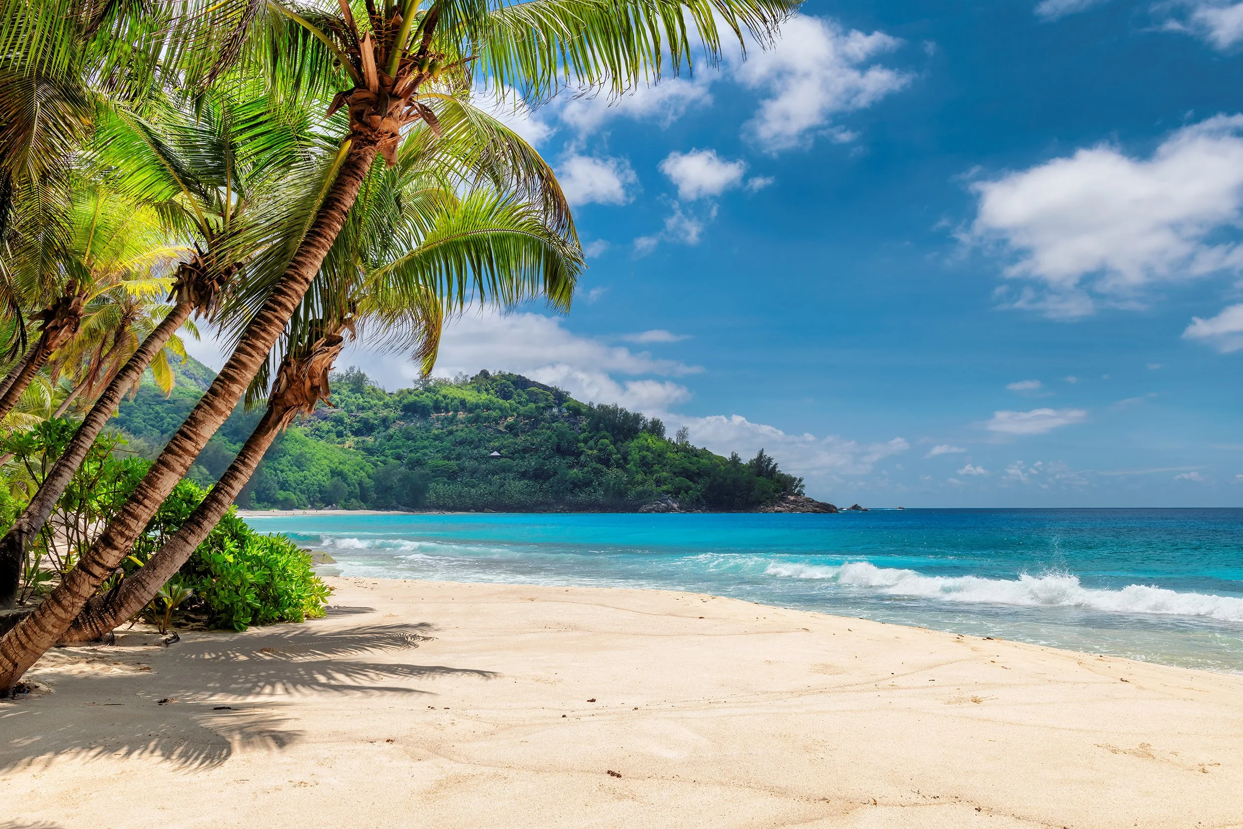 Tropical beach with palm trees, white sand, turquoise water, green island, and blue sky with clouds.