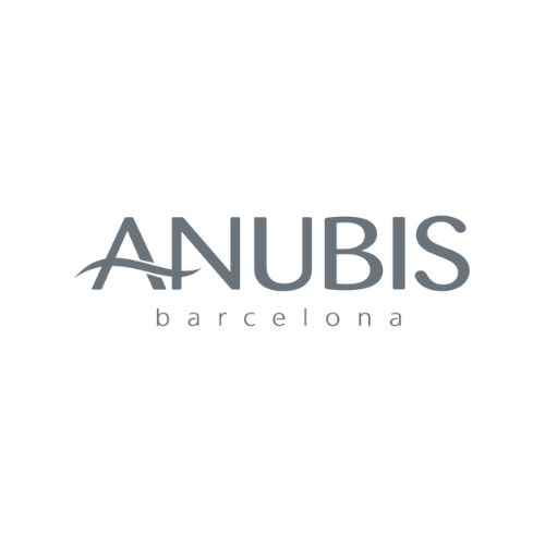 Anubis Barcelona logo with stylized text and a swoosh, on a white background.