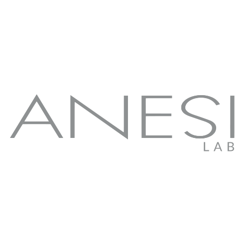 ANESI Lab logo in gray text on a white background
