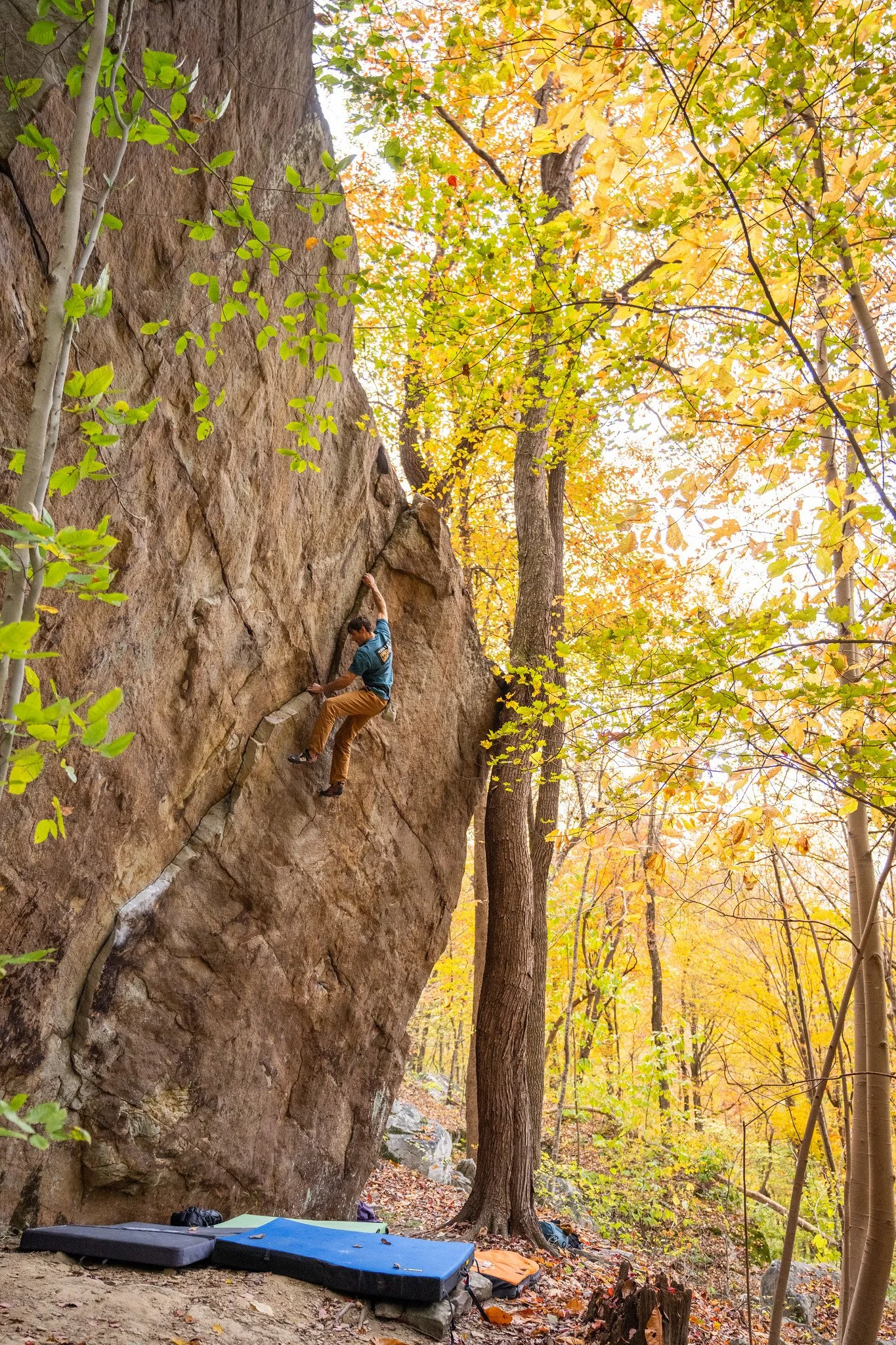 Ethan Pringle climbing high above the ground in autumn conditions