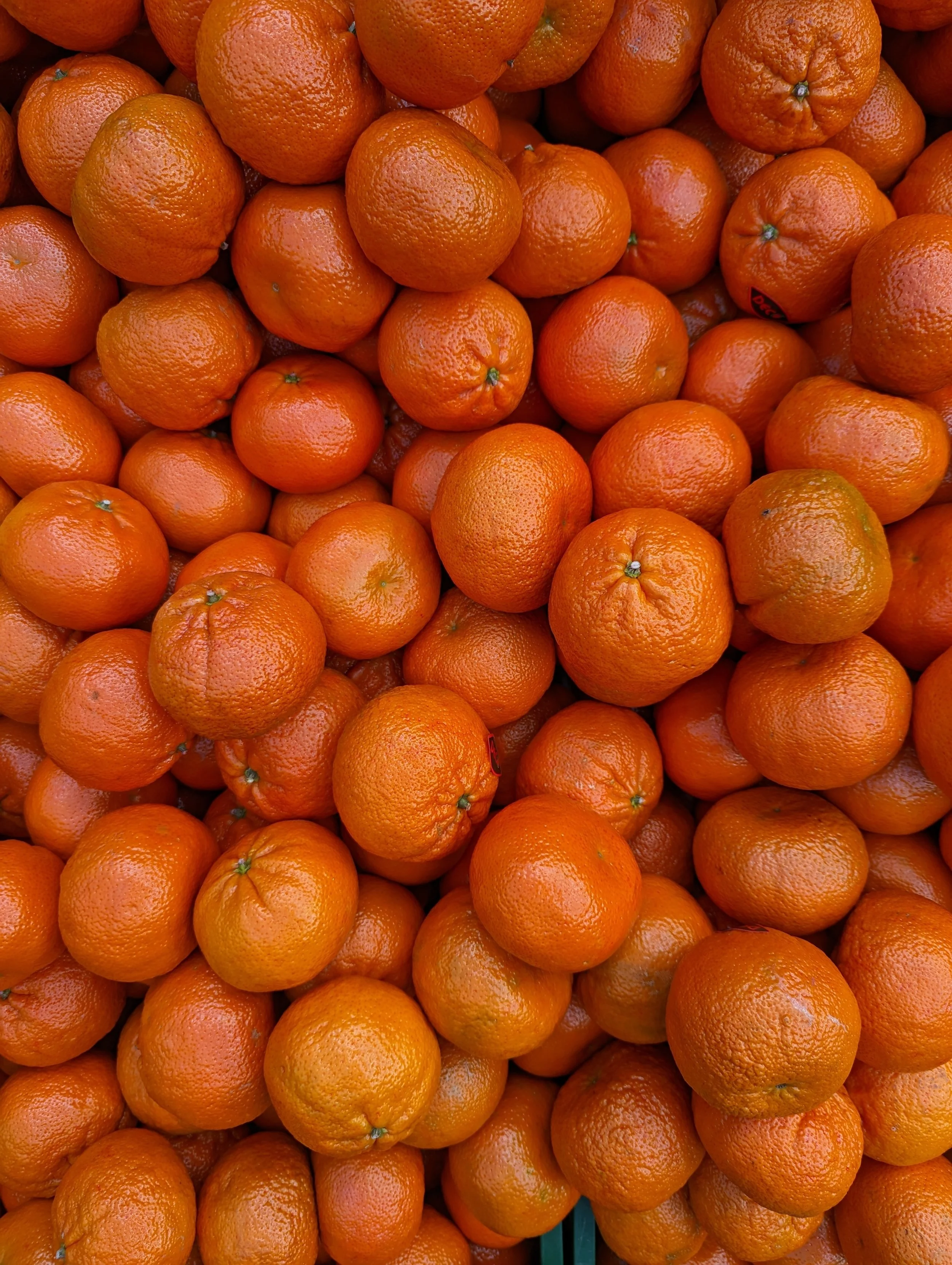 10 nutrition essentials to supercharge your health