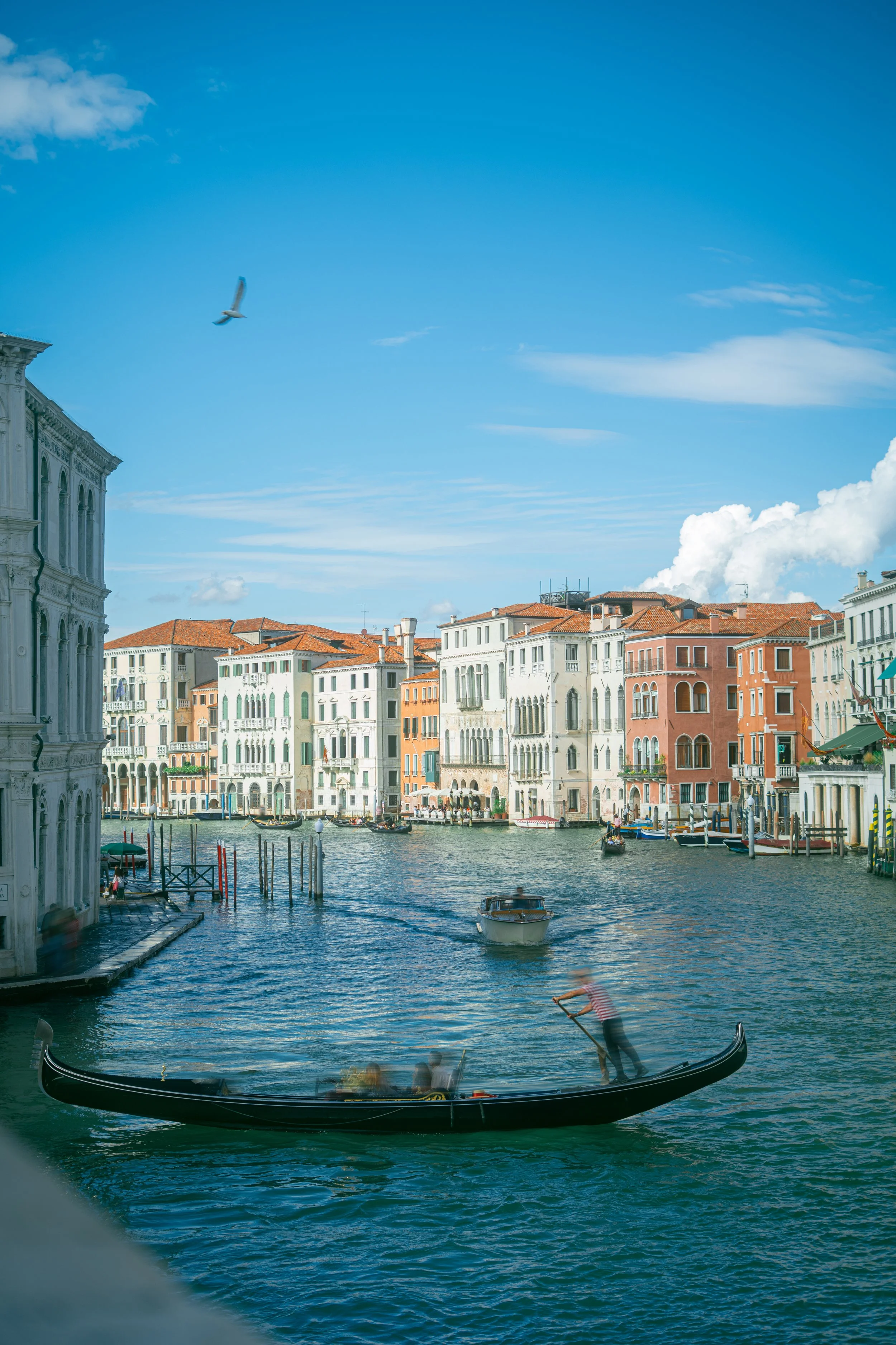 Grand Canal Serenade, Venice