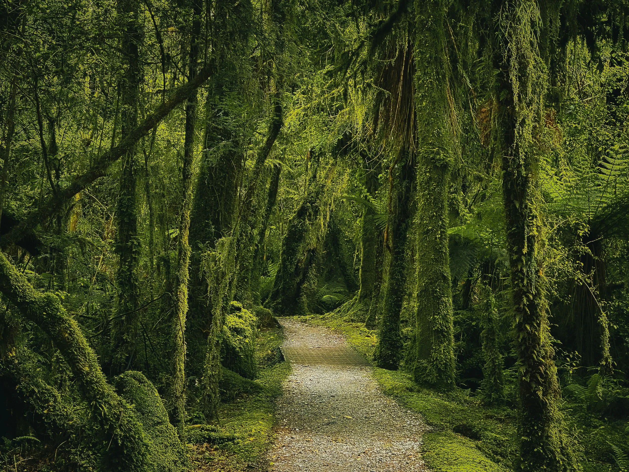 The Conduit: Visionary Techniques for Writers