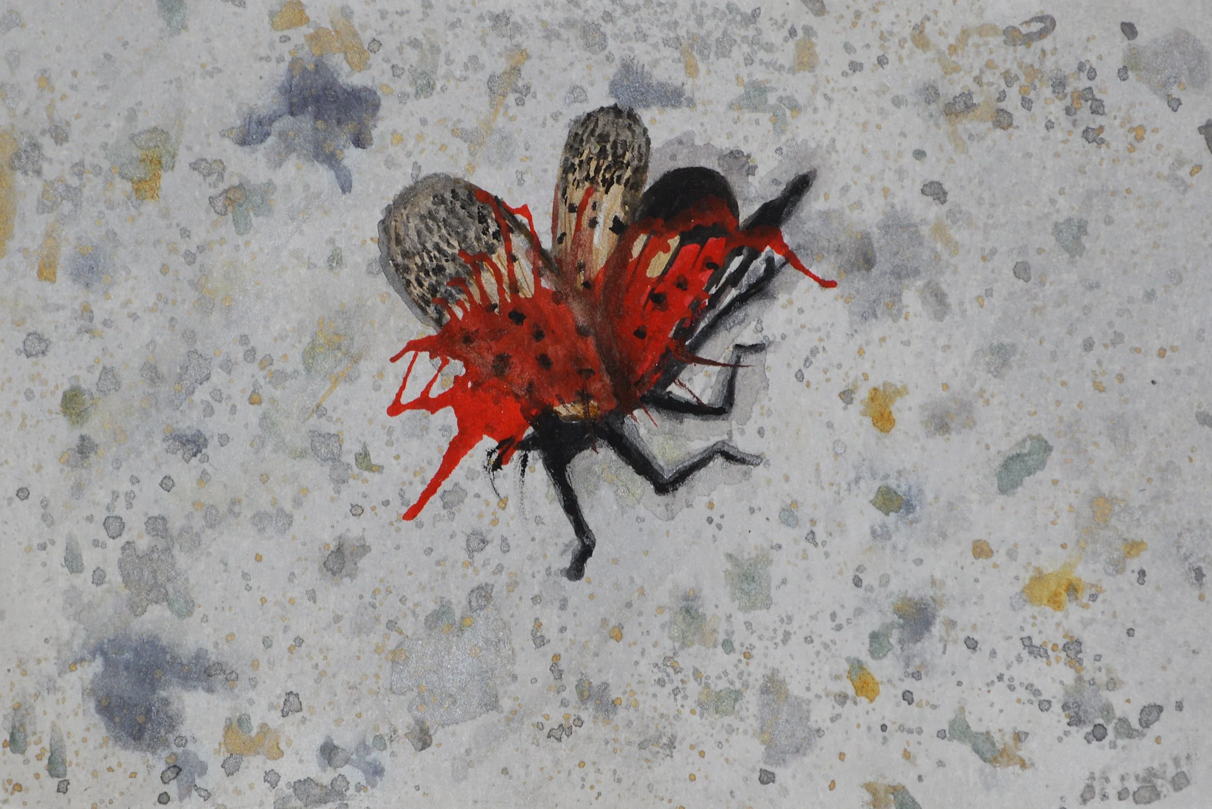 “Lanternfly”
Acrylic
Inspiration theme: “Squish”