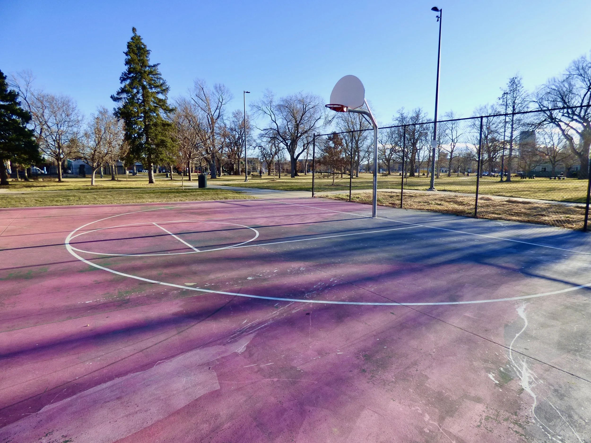 Empty outdoor basketball court with a basketball hoop, surrounded by a fenced chain-link fence in a park with leafless trees and a grassy area in the background.