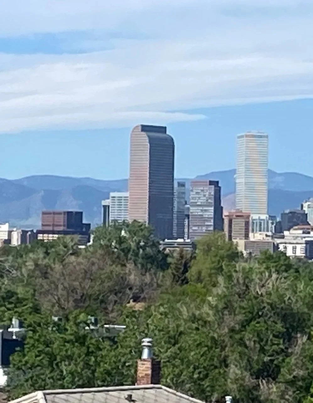 City skyline with tall modern buildings, surrounded by trees and mountains in the background, under a partly cloudy sky.
