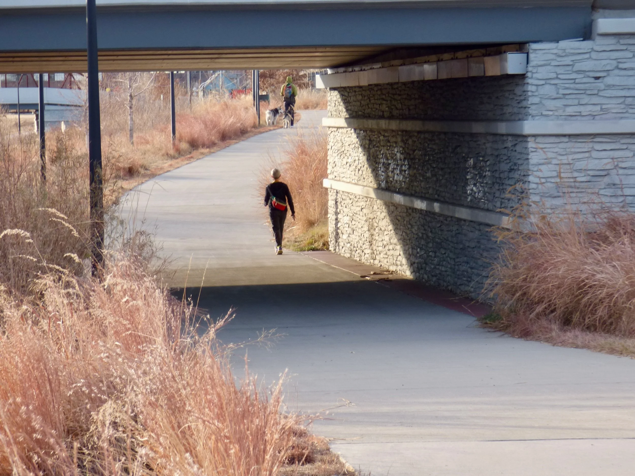 A person walking along a paved pathway under a bridge, with tall dry grasses on the sides, and another person walking further away with a dog in 39th Ave Greenway, Denver, CO 80205.
