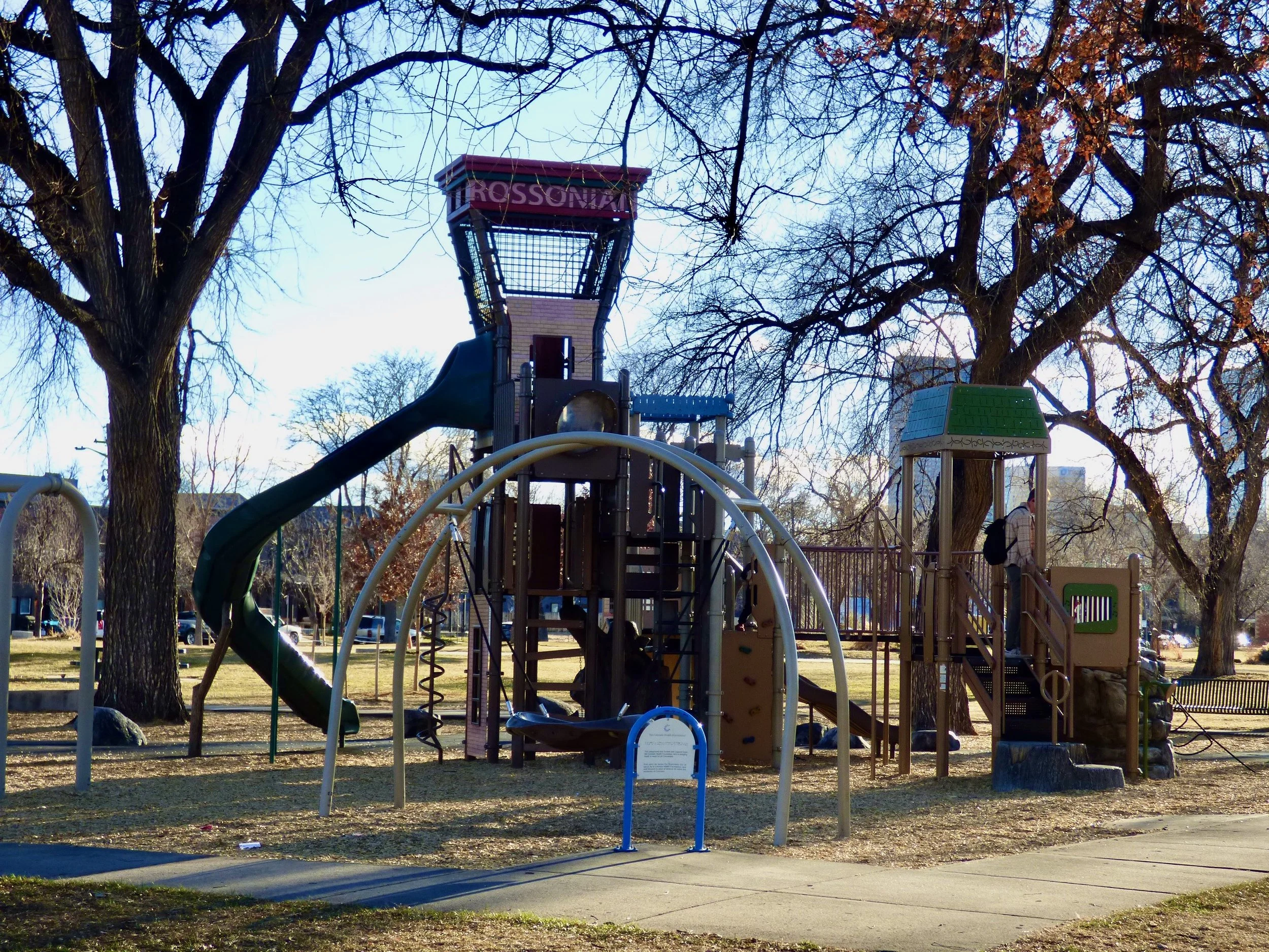 Colorful playground structure with slides, climbing elements, and towers in a park, surrounded by leafless trees and a clear sky.