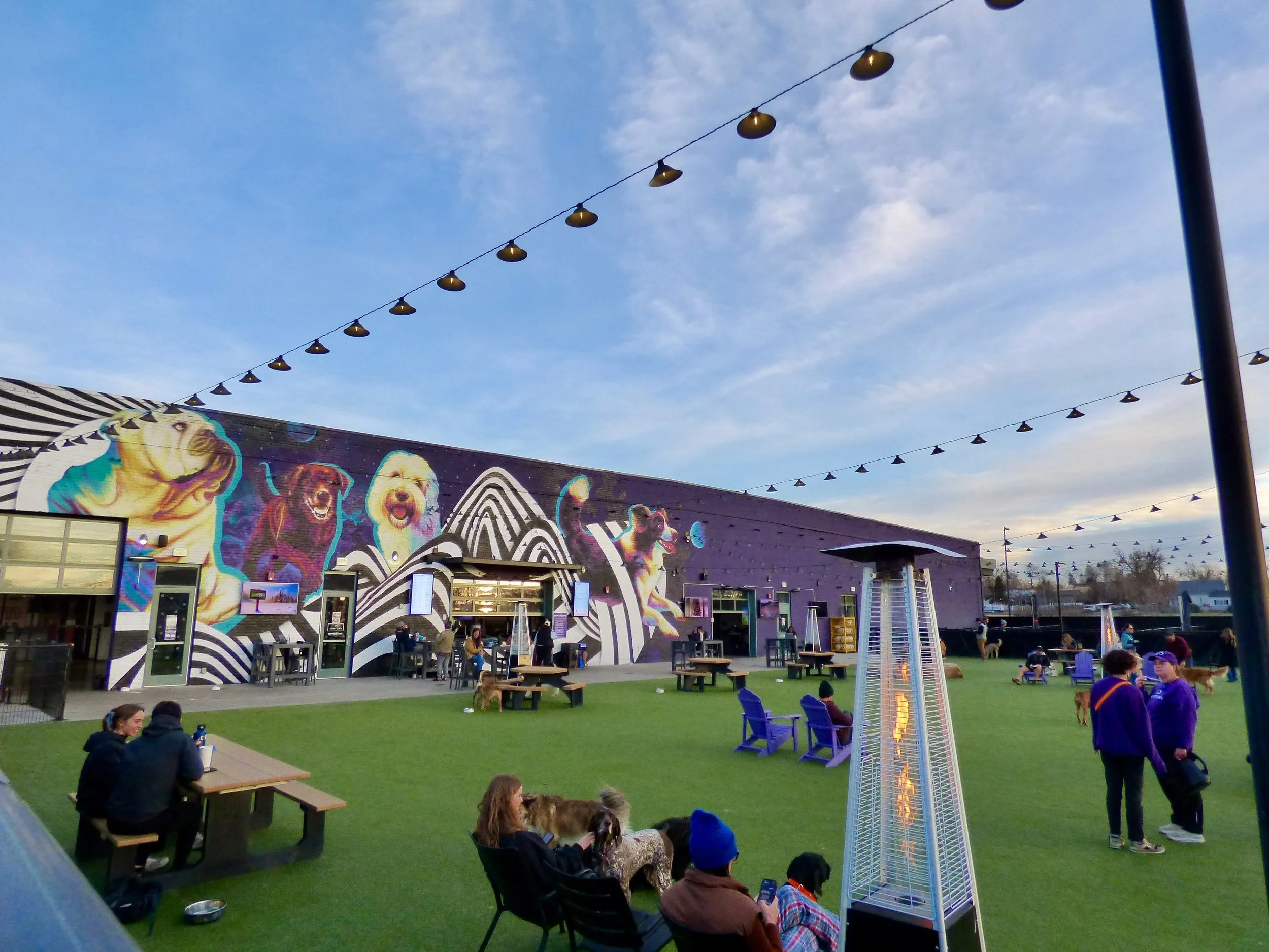 Outdoor scene at a dog-friendly café or park with people and dogs, colorful dog artwork mural on the building, and string lights in the evening sky at Skiptown, Denver, CO 80205.