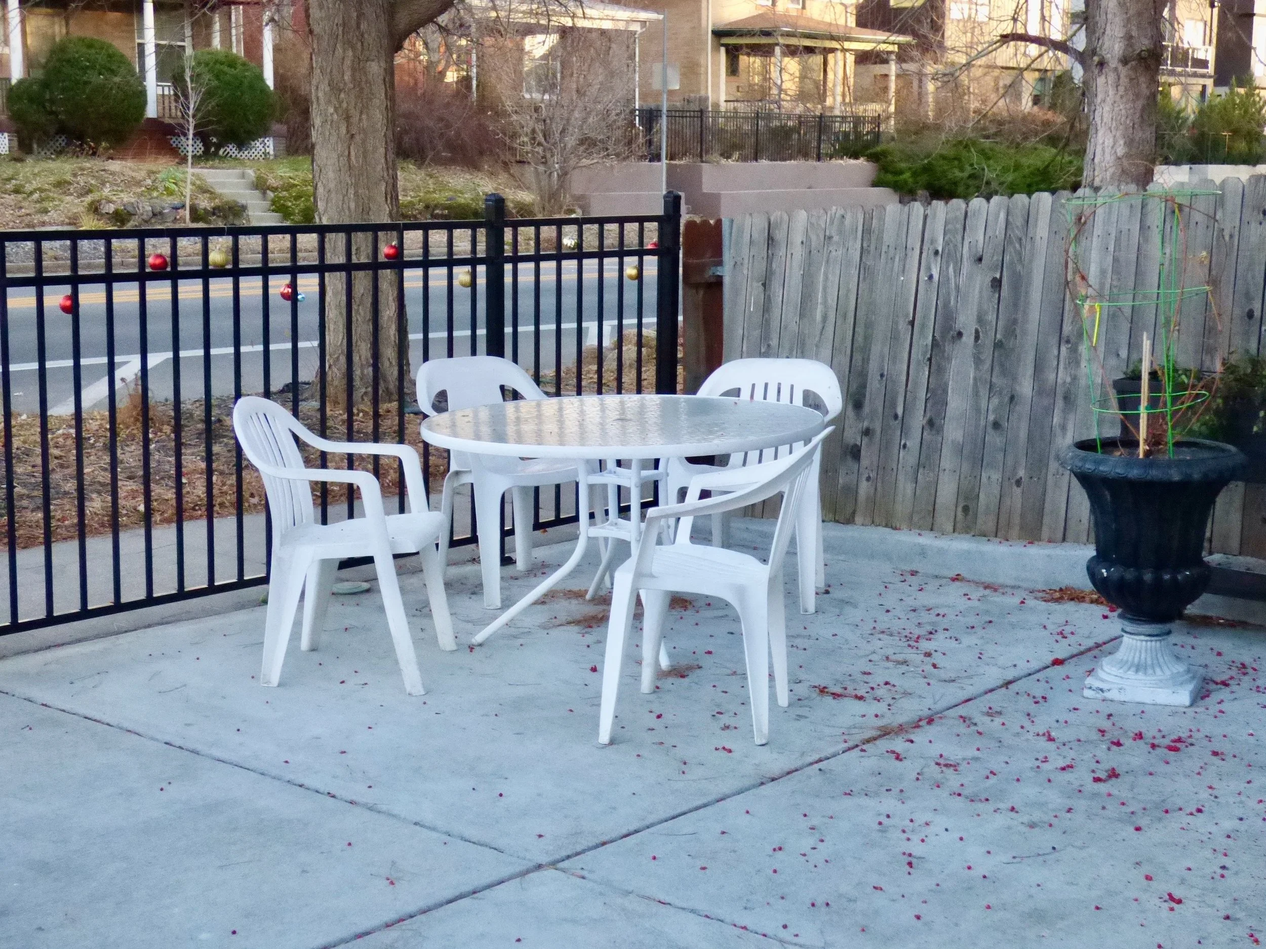 Outdoor patio with plastic chairs around a round table, a large potted plant, a black metal fence, and a wooden privacy fence, in residential neighborhood at PF Donut Shop, Denver, CO 80205.