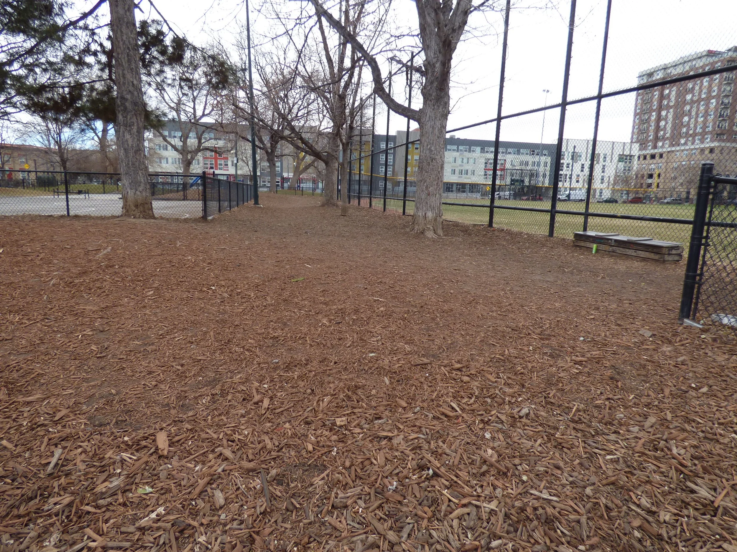 A fenced urban park area with palm trees, a walkway, and residential buildings in the background, covered with wood mulch.