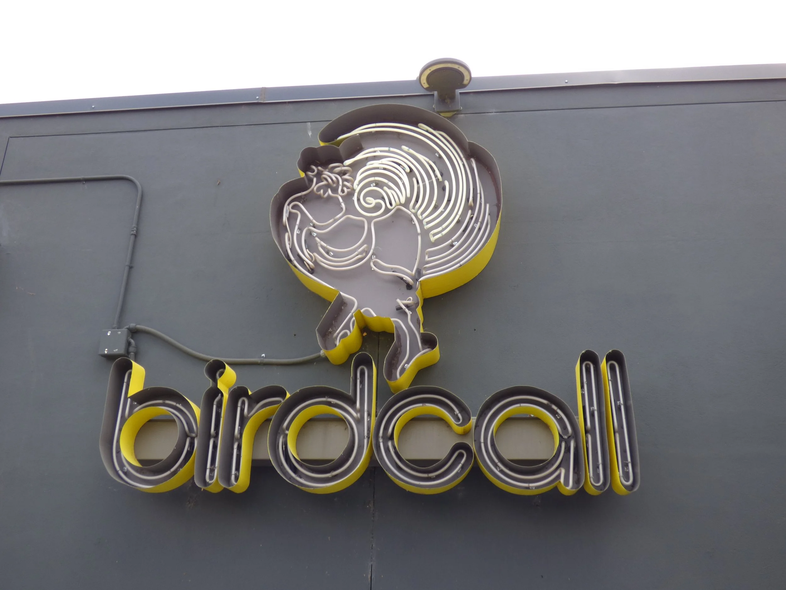 Neon sign of a stylized woman with glasses and hair in a bun, above the word 'bralocal' on a dark gray wall.