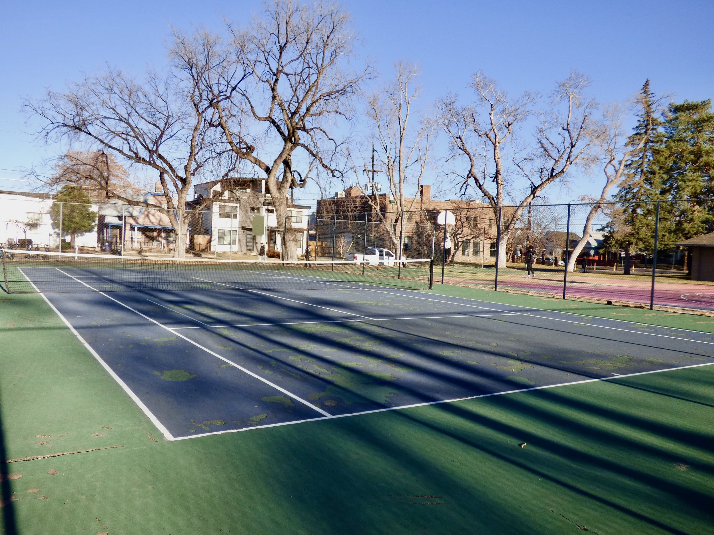 Empty tennis courts with shadows from leafless trees on a sunny day.