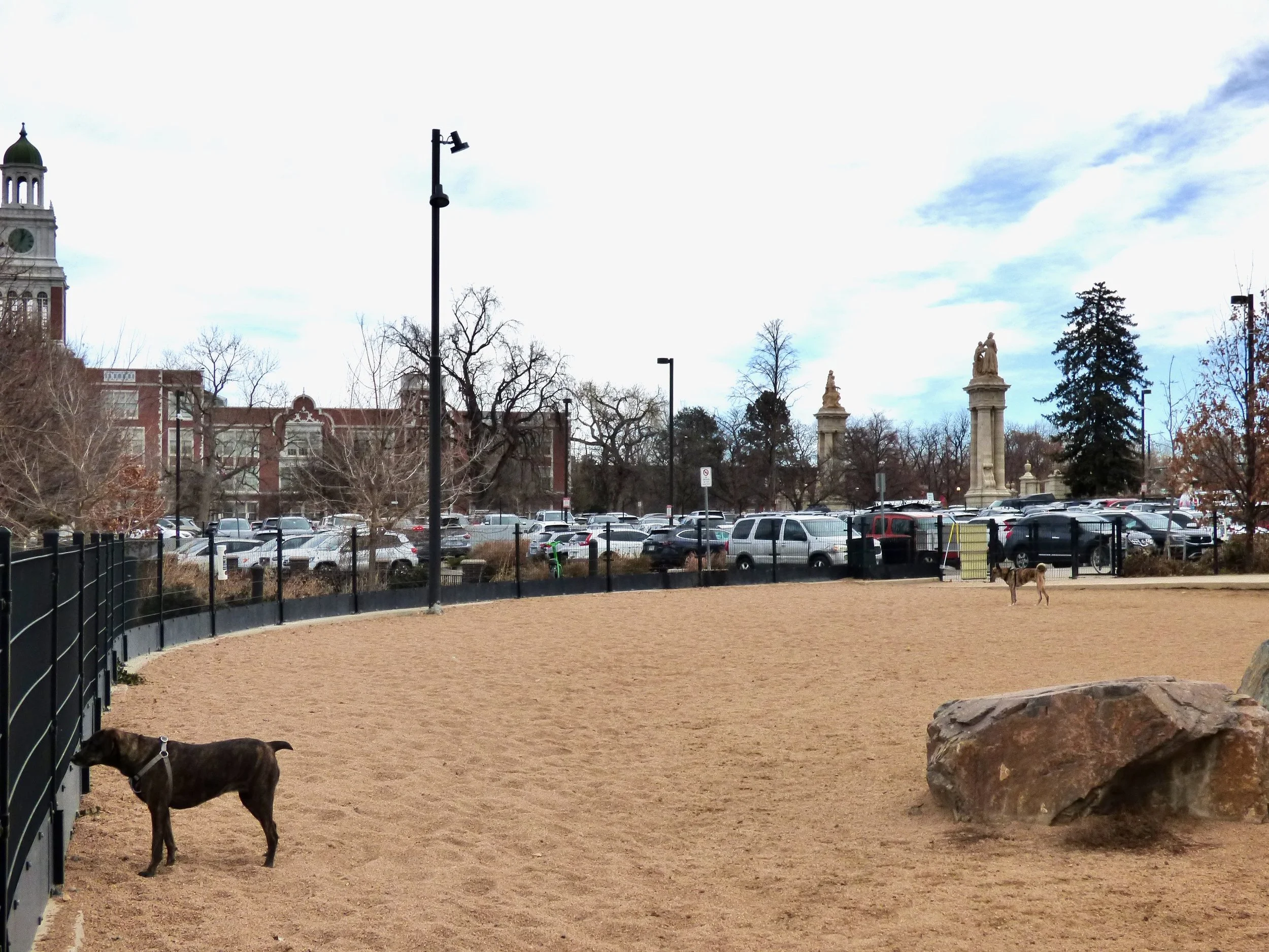 Dog standing on sandy ground near a fence in a park, with tomb-like statues and a parking lot in the background, and partly cloudy sky.