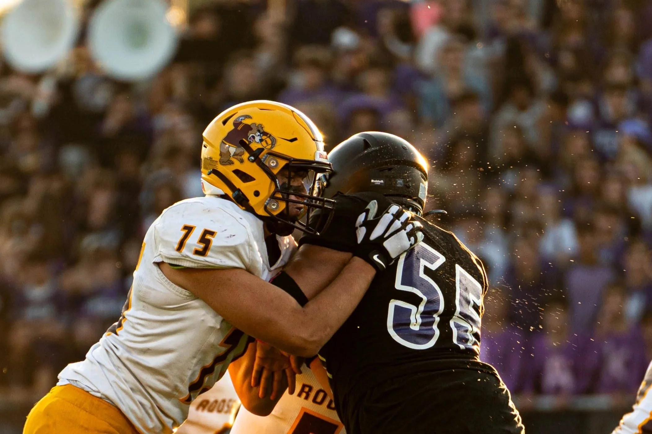 rhs+vs+southwest-9.jpg