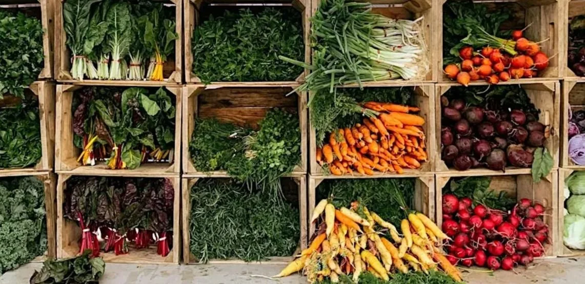 Resilient Living: Roots for Resilience