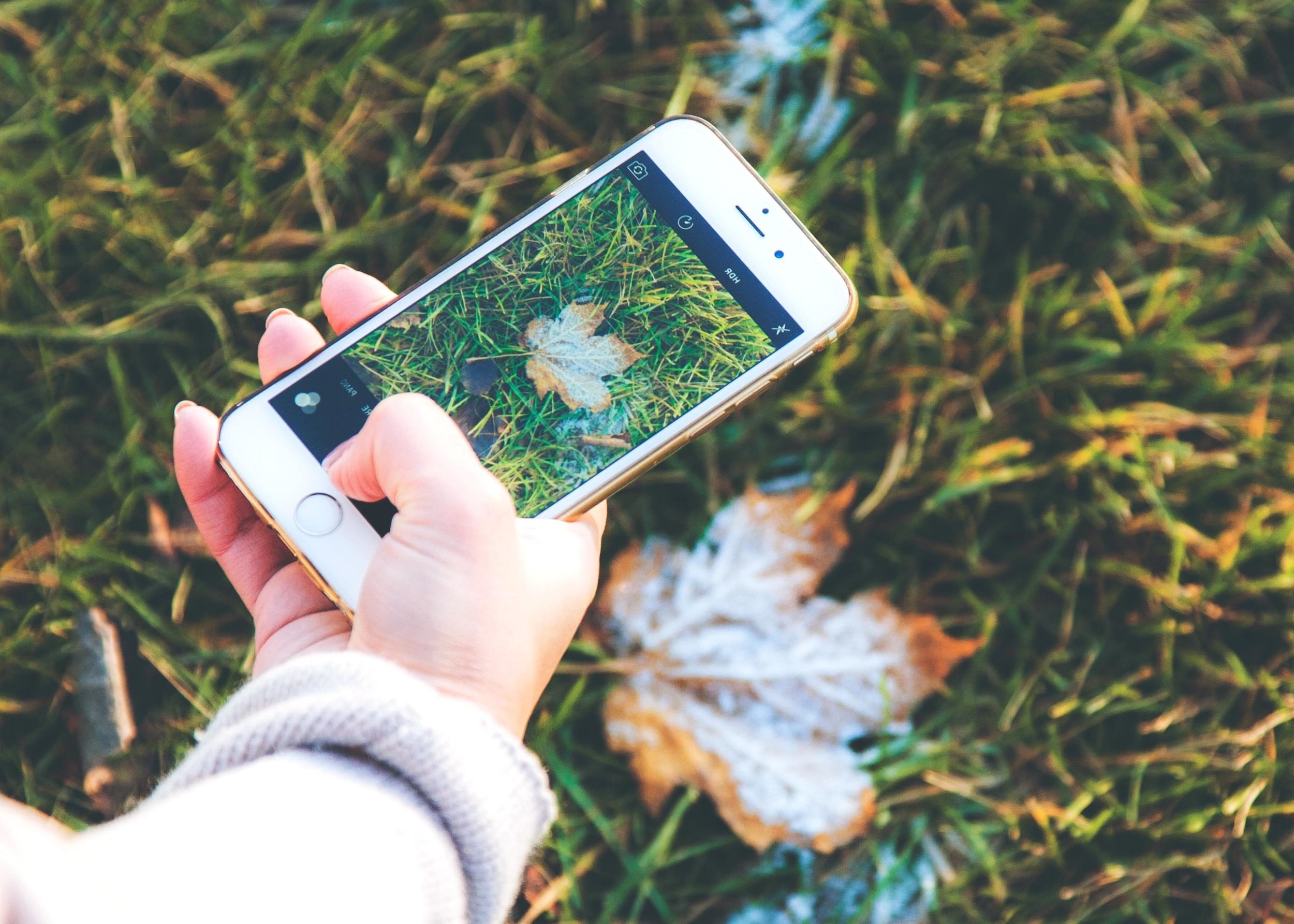 Redlands Camera Club: Smartphone Apps, Tips &amp; Tricks