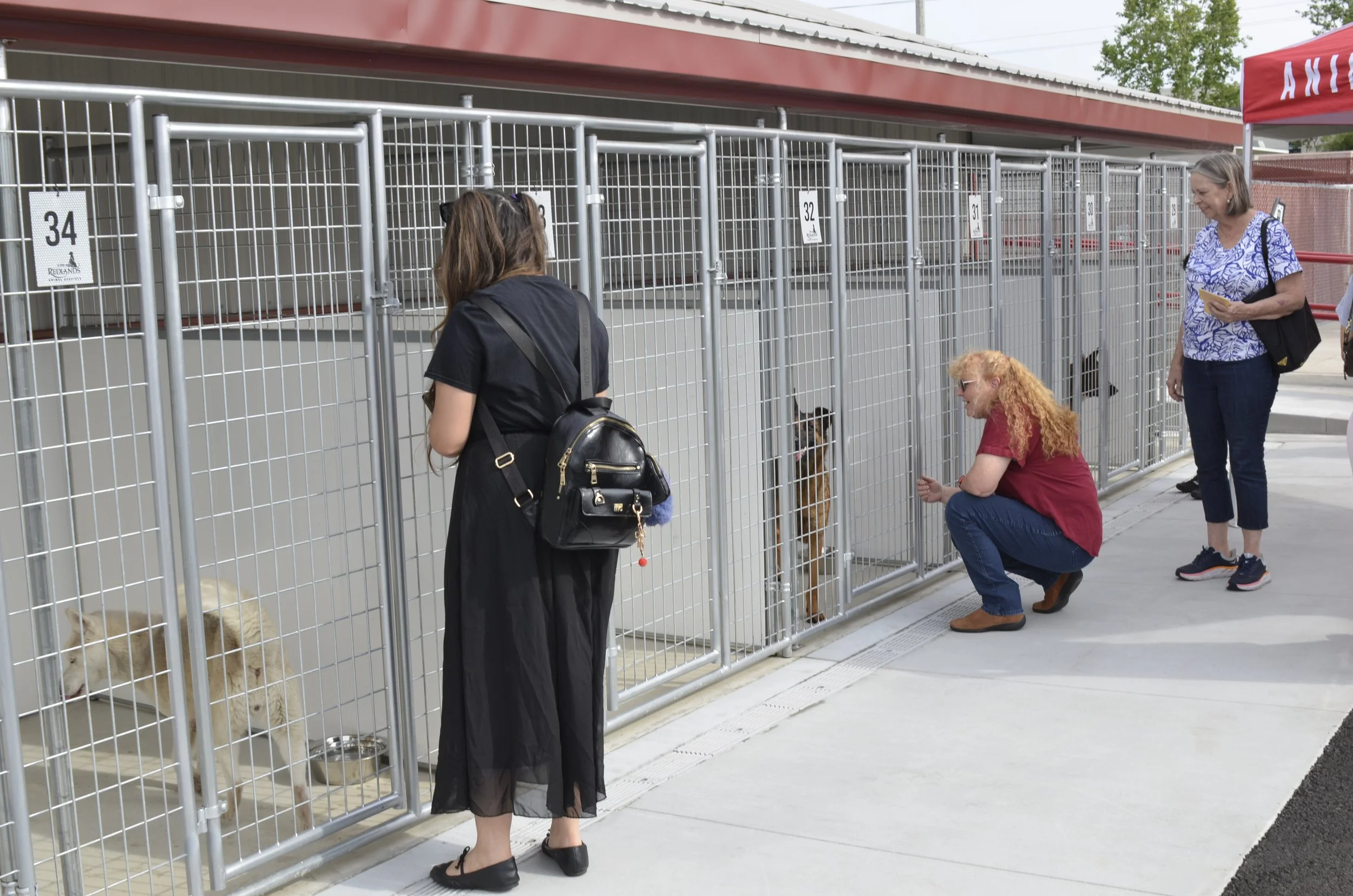 A Legacy Beyond Life: Late Marine Veteran’s Estate Helps Double Redlands Animal Shelter Capacity
