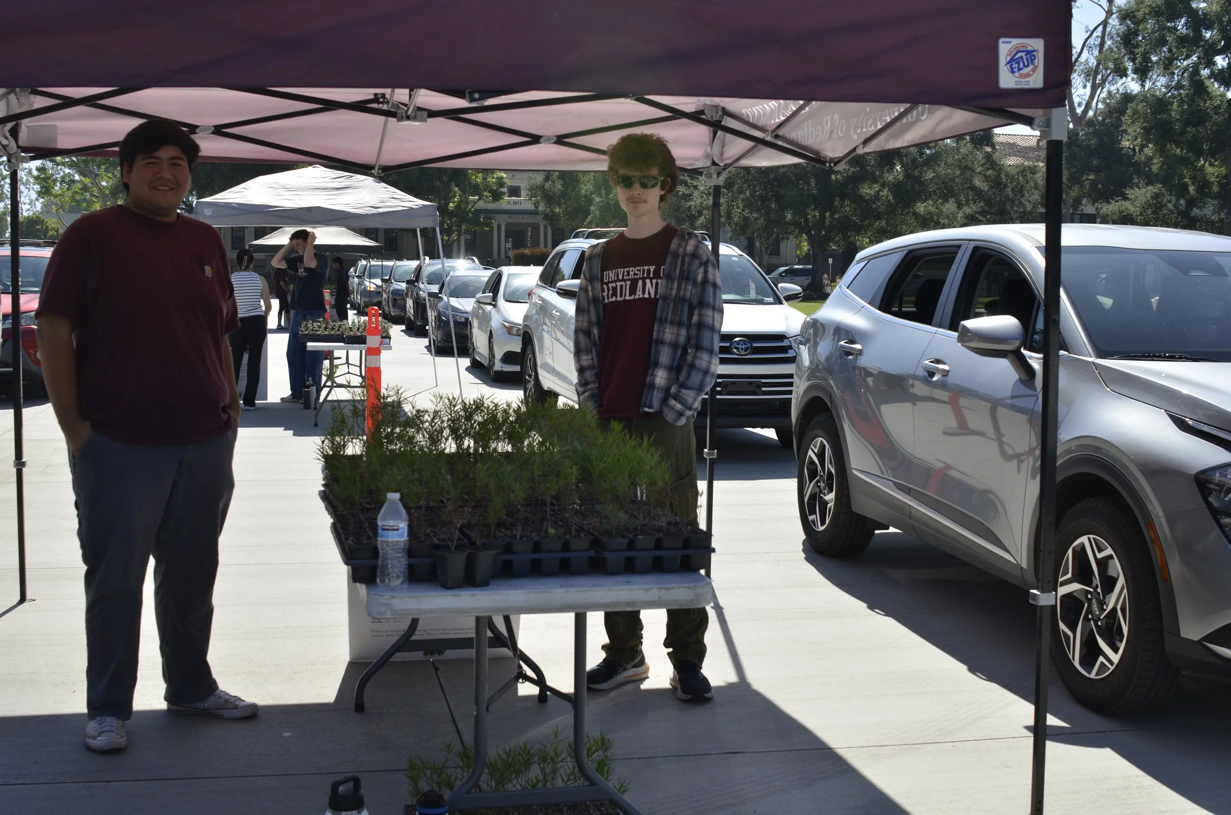 Mega May Tree Giveaway Sees Record Turnout at University of Redlands